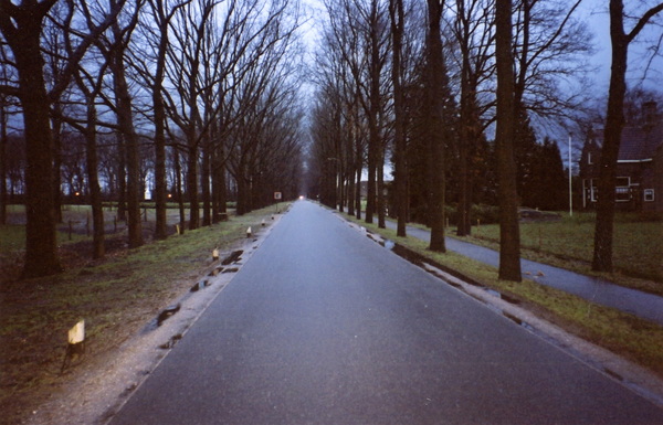 Looking down the road